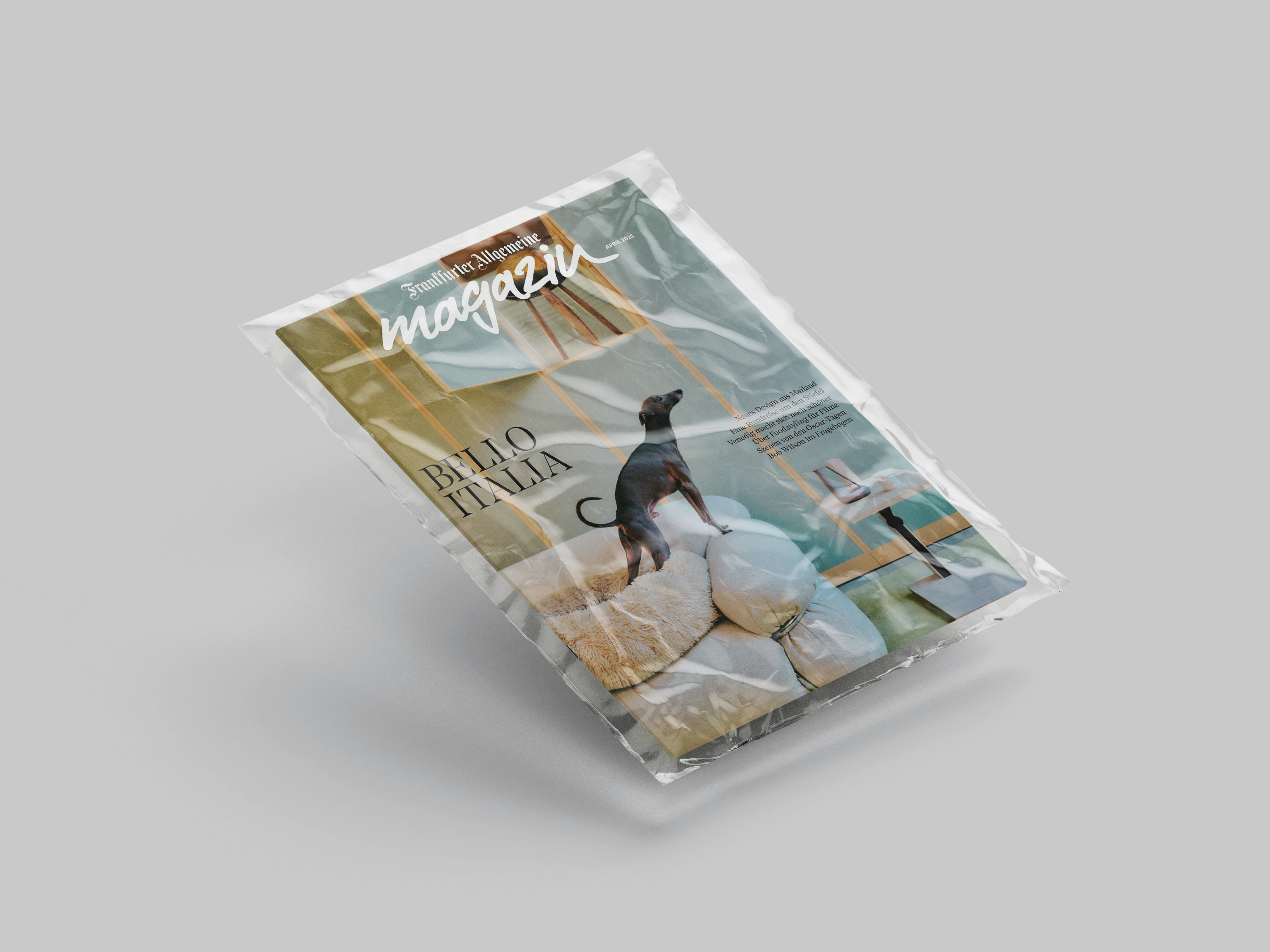 Magazin-Mockup in Folie